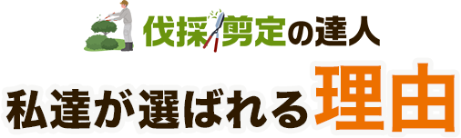 私達が選ばれる理由