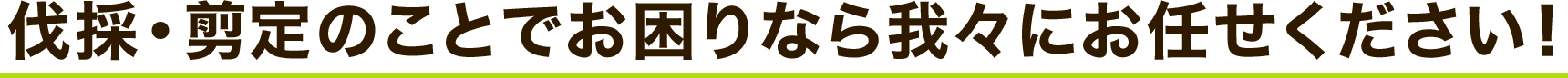 伐採・剪定のことでお困りなら我々にお任せください！