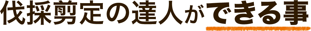 伐採剪定の達人ができる事