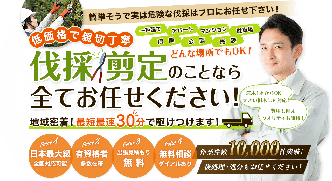 伐採・剪定のことなら全てお任せください！