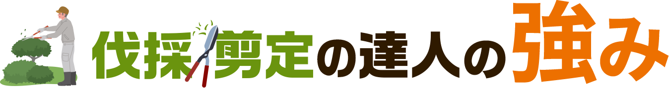 伐採・剪定の達人の強み